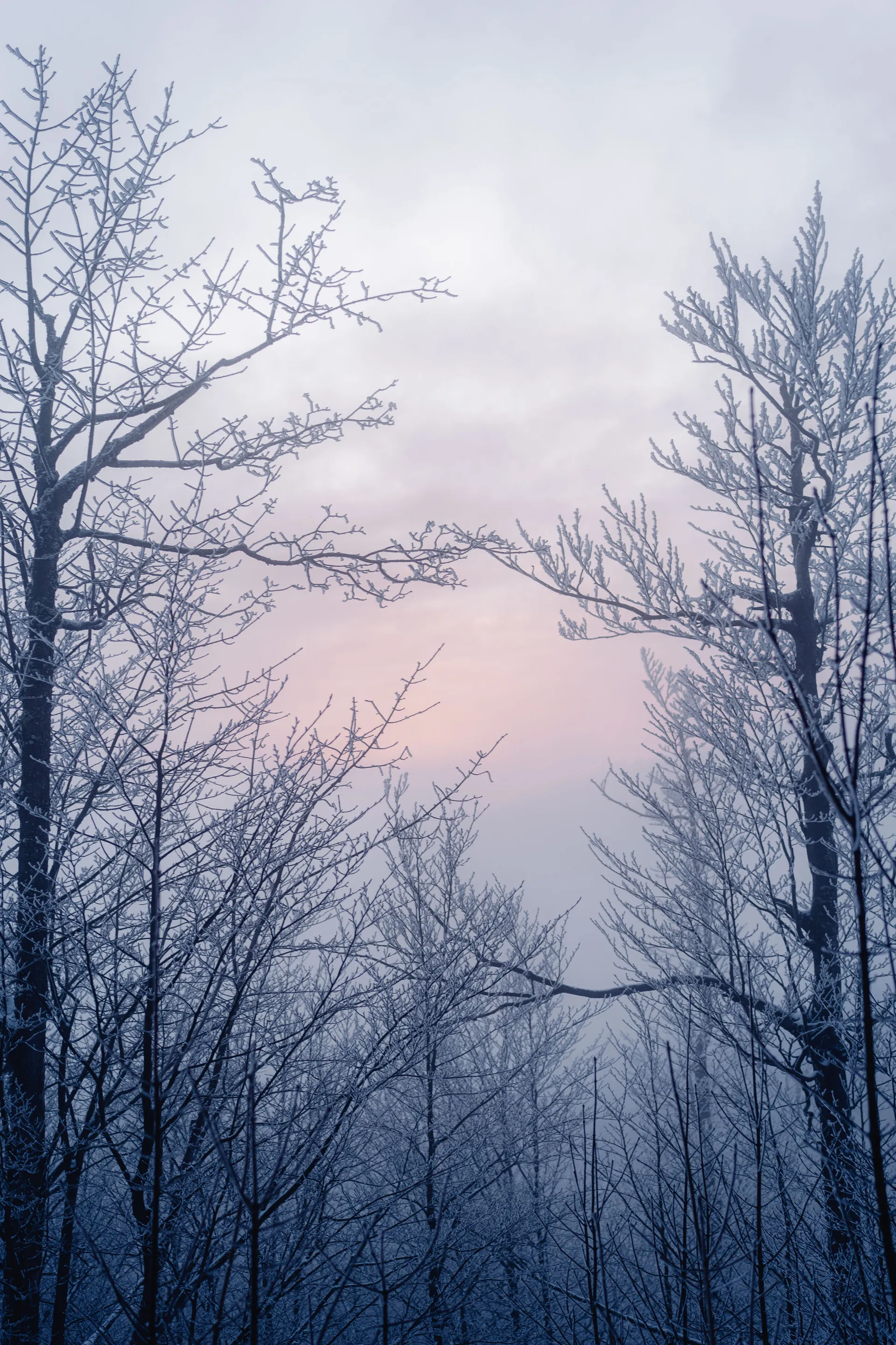 cover for Winter stillness in Slovenia