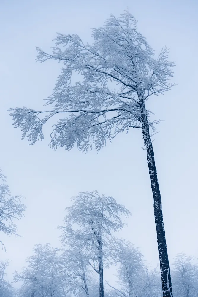 number 3 in gallery Winter stillness in Slovenia