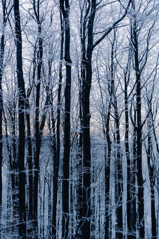 number 5 in gallery Winter stillness in Slovenia