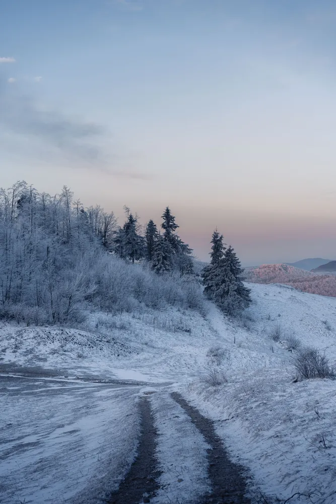 number 2 in gallery Winter stillness in Slovenia
