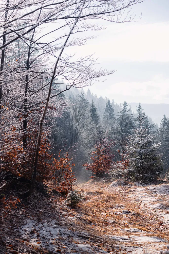 number 11 in gallery Winter stillness in Slovenia