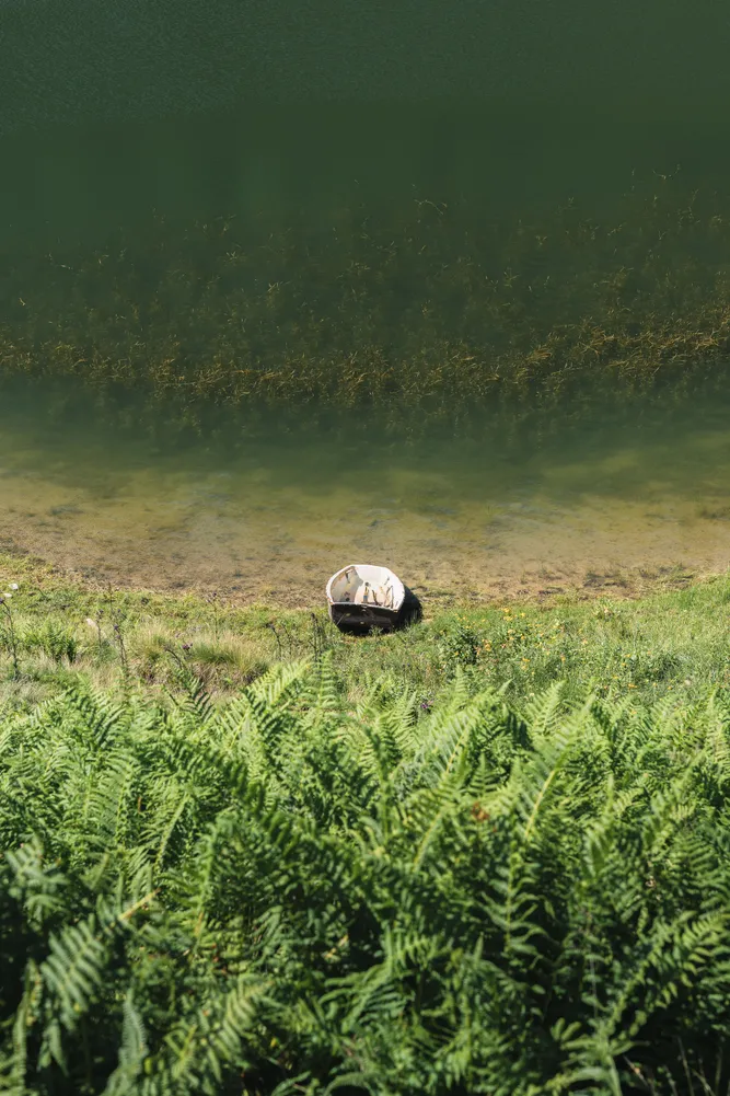 number 6 in gallery Still nature in Southern Germany
