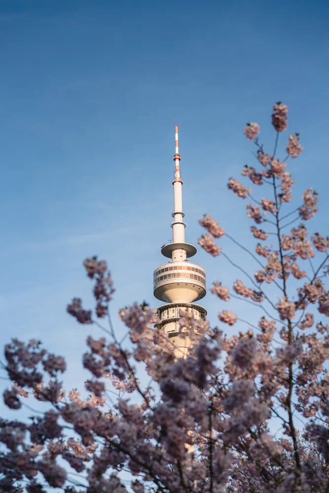number 7 in gallery Urban mornings in Southern Germany