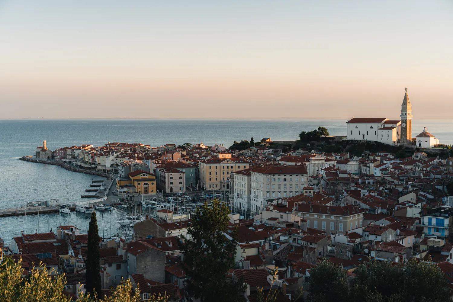 number 7 in gallery Mornings by the Northern Adriatic Coast