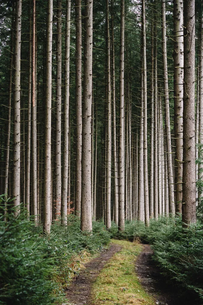 number 5 in gallery Still nature in Southern Germany